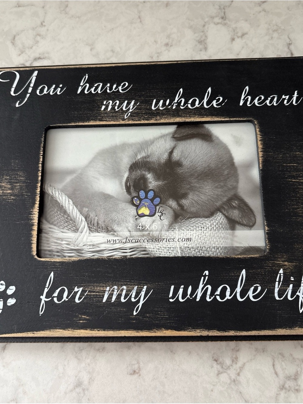 You Have My Whole Heart 🐾 for My Whole Life Picture Frame for 4x6 New